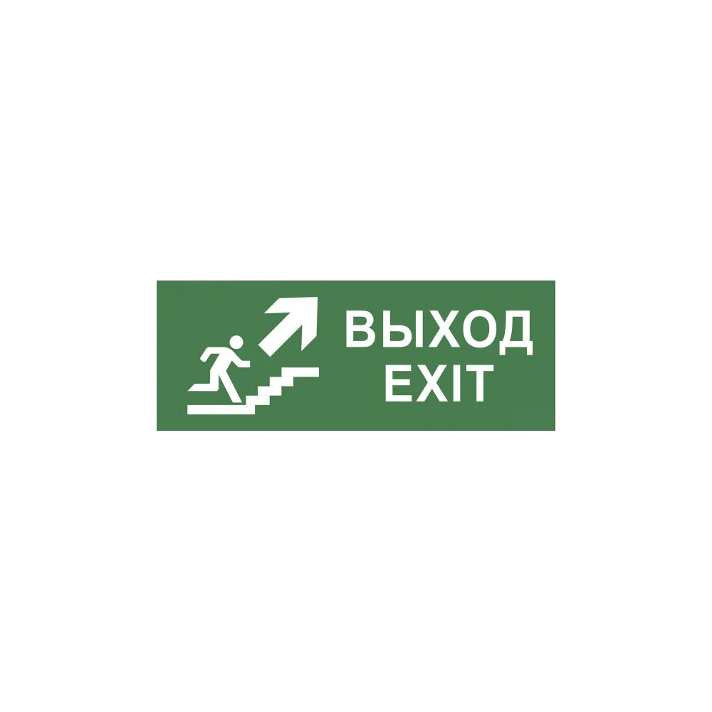 Самоклеящаяся этикетка ЭРА INFODBA014 Выход/лестница вверх/фигура Б0048466