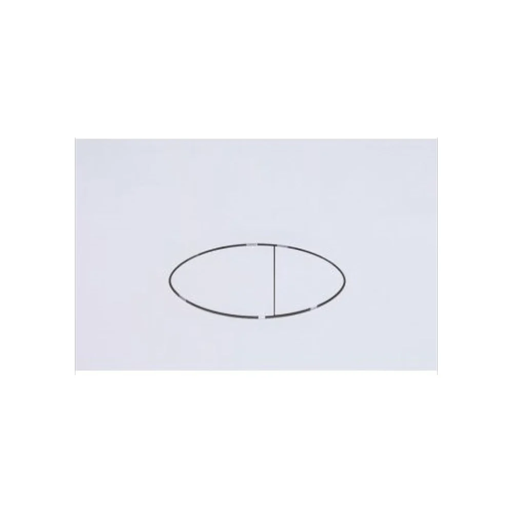 Двойная кнопка смыва LOGAN OVAL 00297677