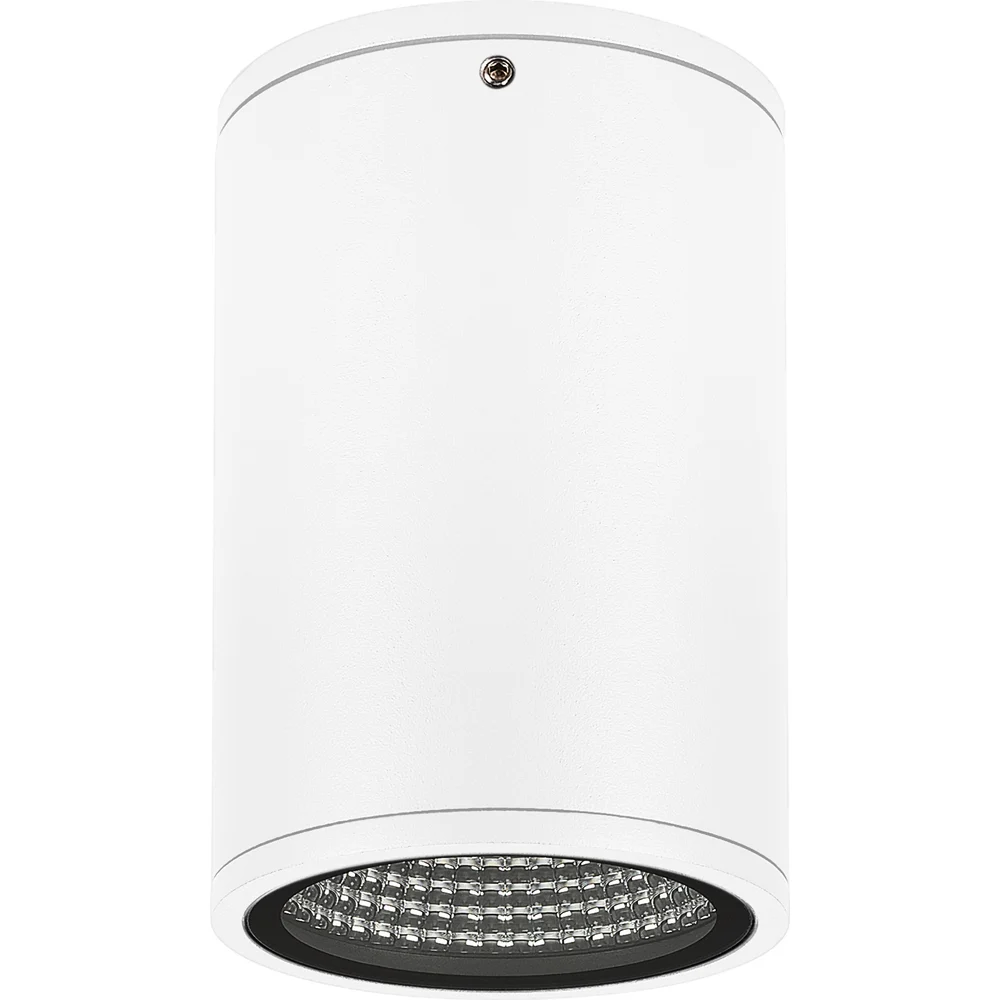 Светильник Arlight LGD-FORMA-SURFACE-R90-12W Day4000 37259