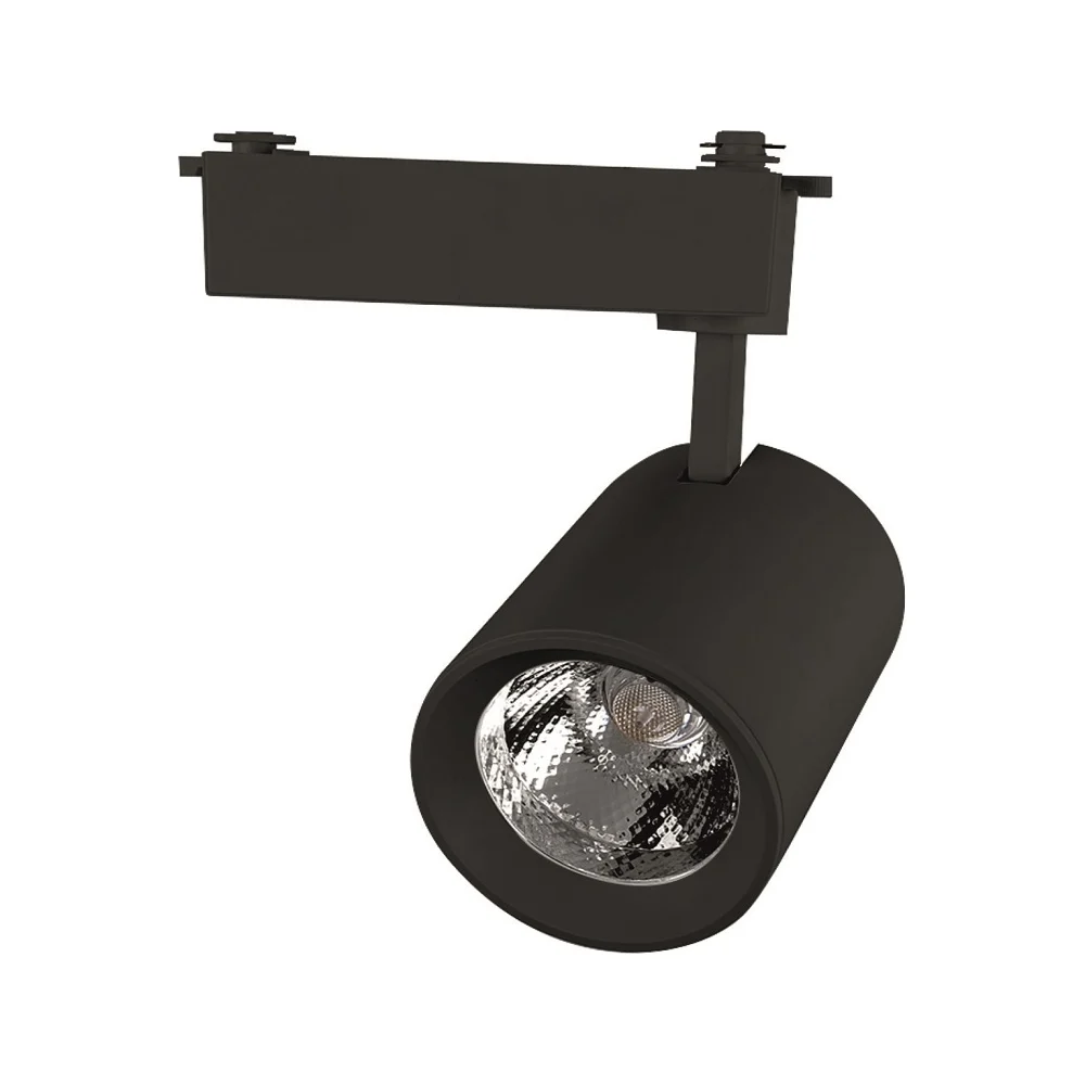 Трековый светильник General Lighting Systems GTR-30-1 580025
