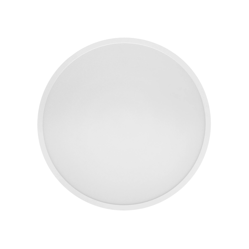Smart Ceiling Light D40