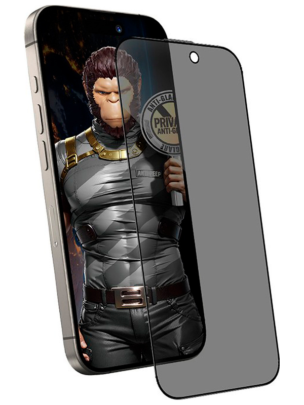Защитное стекло Type Gorilla Full Cover Anti-Peep, Matte Glass, iPhone16 pro, 6.3, Black (NPG1-16P-BK)