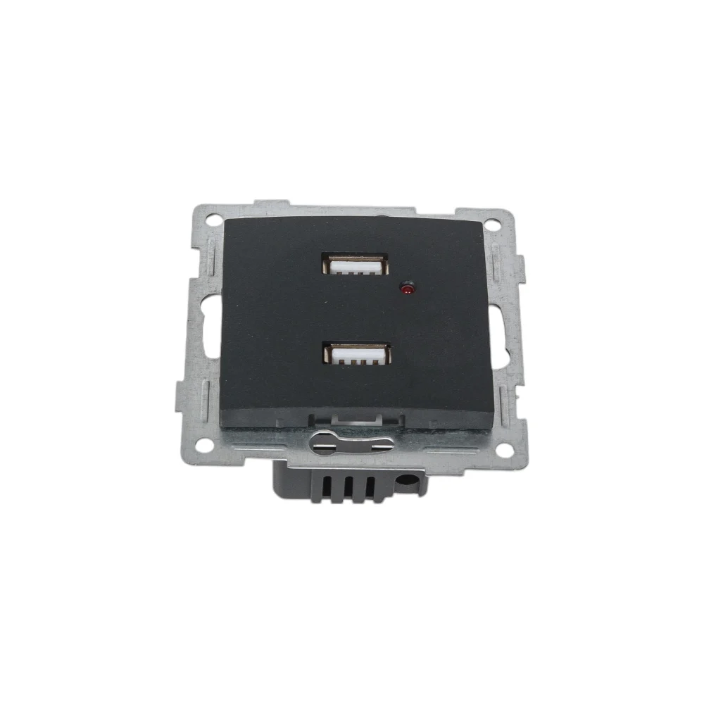 Двойная розетка usb GUSI Electric Bravo С10USB2-010