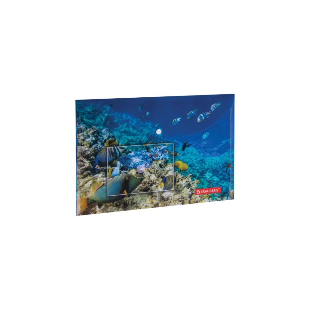 Папка-конверт BRAUBERG SEA WORLD 228041