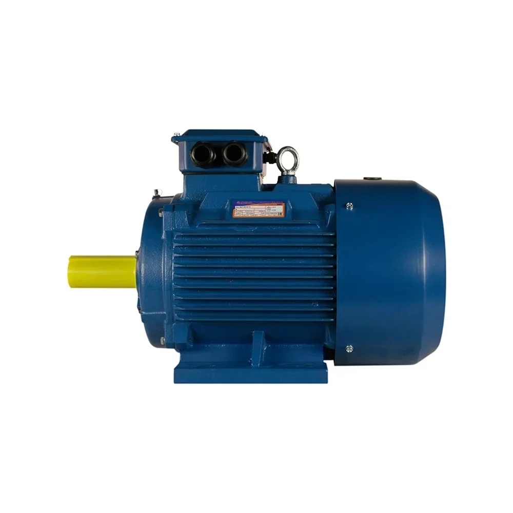 Электродвигатель 5АИ 250 S4 76/1500 IM 1001 01.01.220401