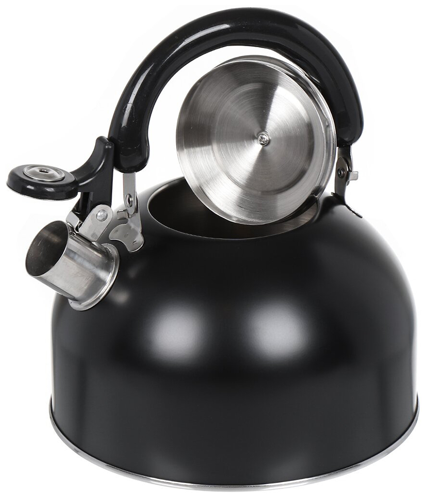 Чайник для плиты Daniks GS-04001, 2.5 л, черный (355352)