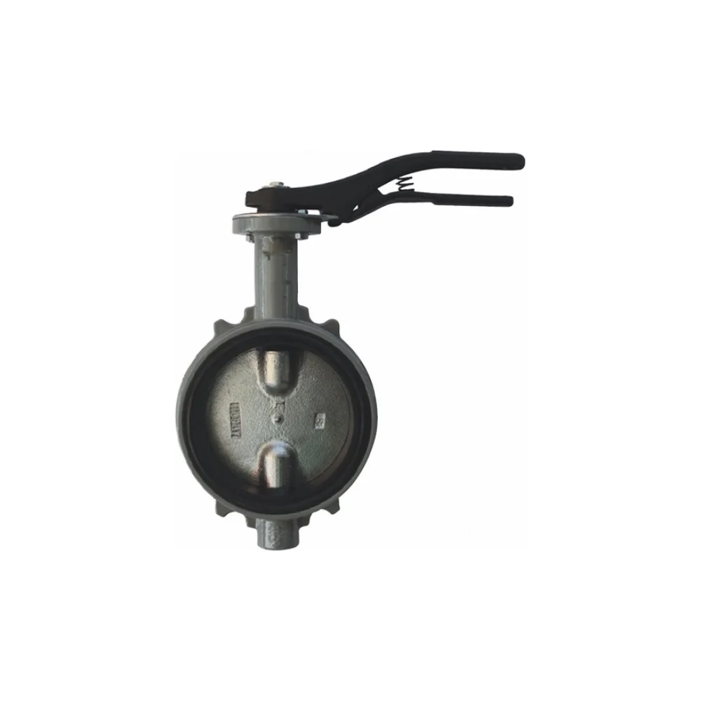 Дисковый поворотный затвор Giacomini DN100 R59WX010
