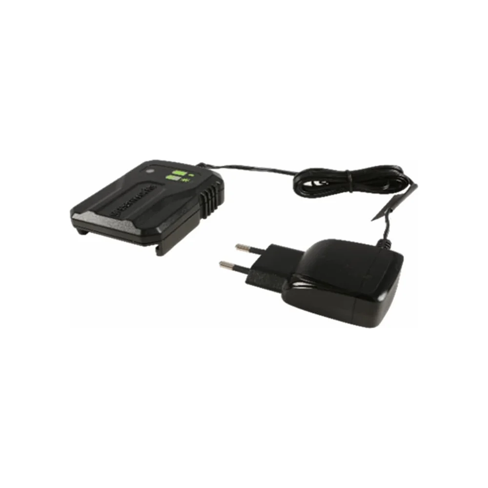 Зарядное устройство GreenWorks G40UCM2M 2946507