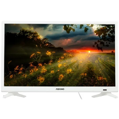 24" Телевизор ASANO 24LH1011T HD, белый