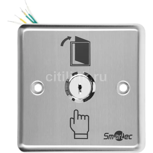 Ключ SMARTEC ST-ES110 серебристый