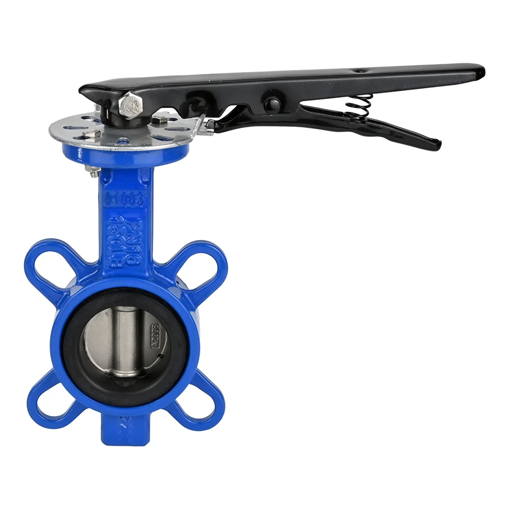 Дисковый поворотный затвор DN.ru WCB-316l-VITON D050-06602
