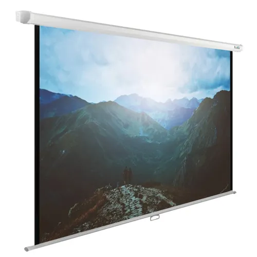 Экран Cactus WallExpert CS-PSWE-240x240-WT, 240х240 см, 1:1, настенно-потолочный