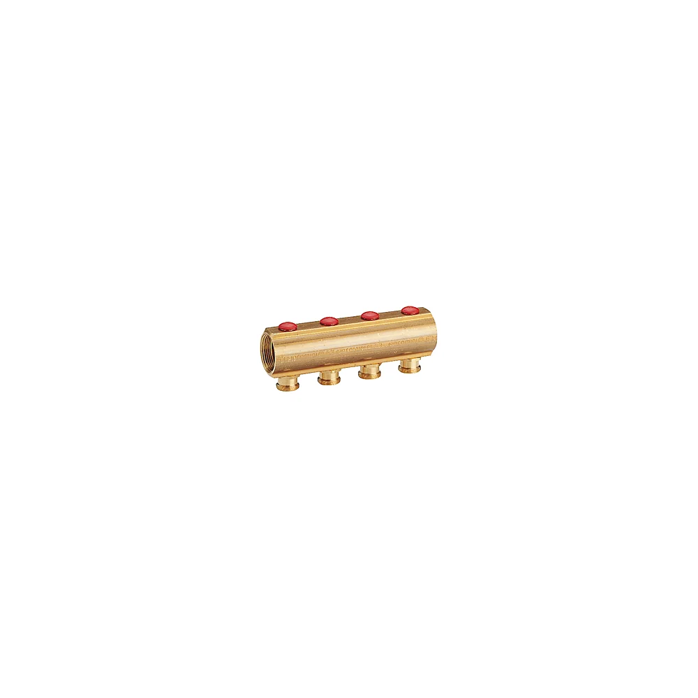 Коллектор Giacomini R553SY044