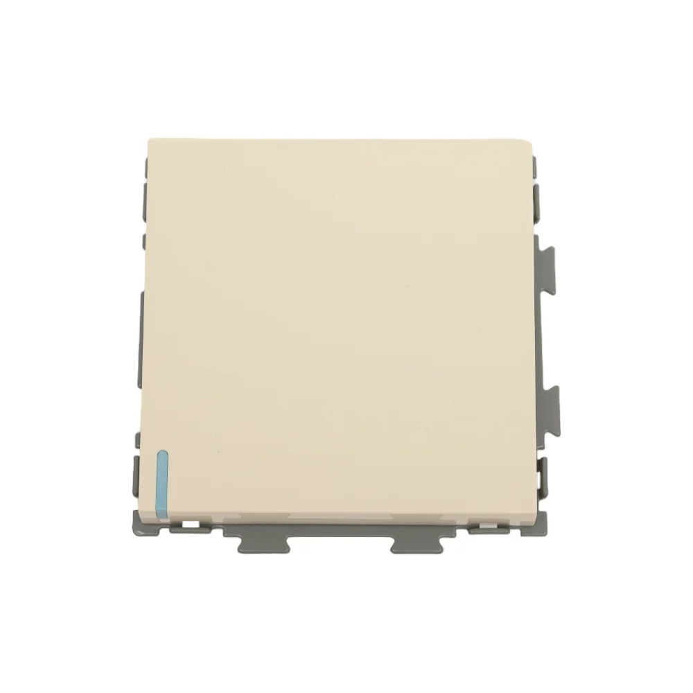 Одноклавишный проходной переключатель CGSS Практика PL-W101-PBGG