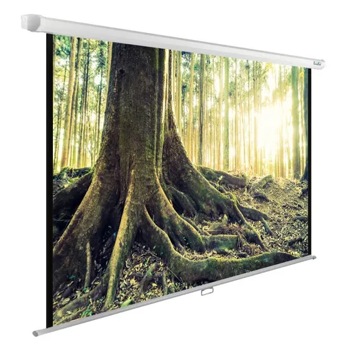 Экран Cactus WallExpert CS-PSWE-220x220-WT, 220х220 см, 1:1, настенно-потолочный