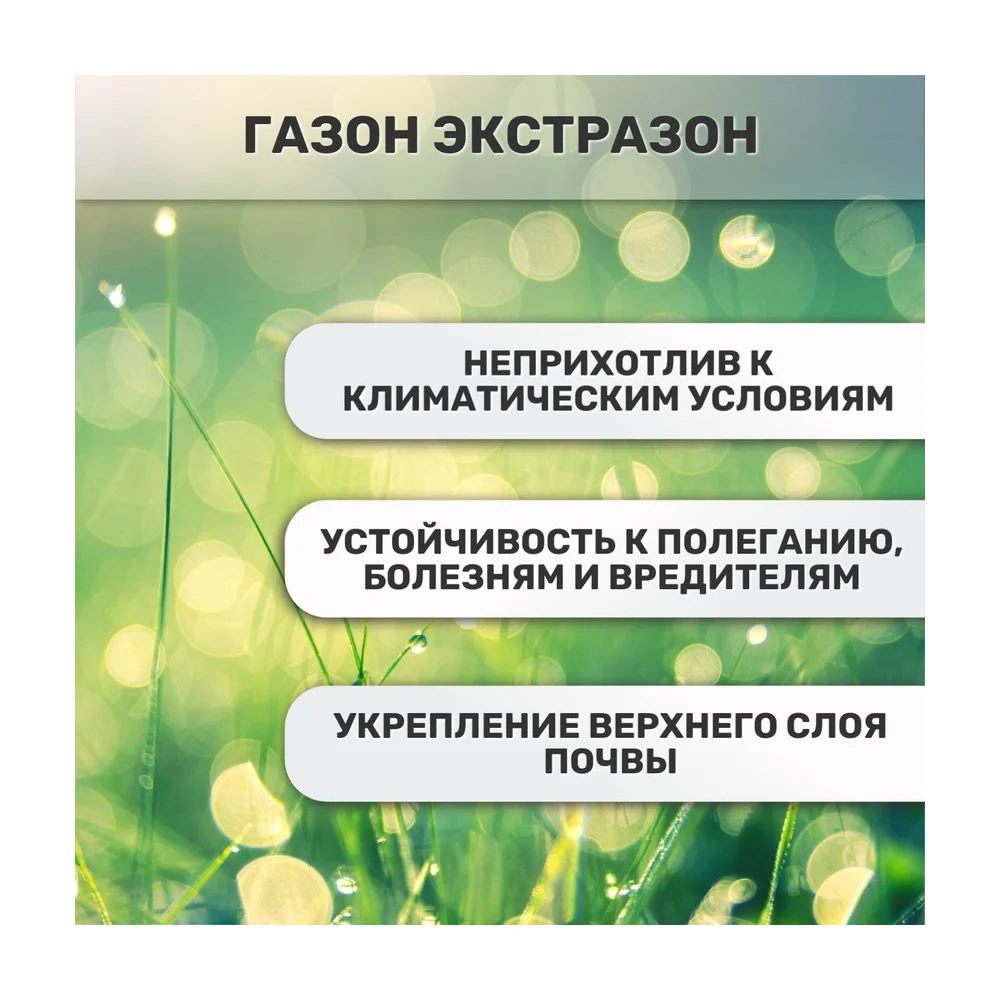 Семена Зеленый ковер 4607160333786