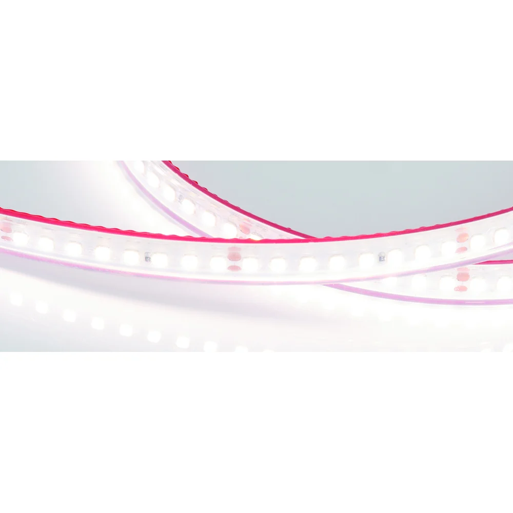 Герметичная светодиодная лента Arlight RTW-PS-A160-10mm 24V Day4000 12 Вт/м 024543(2)