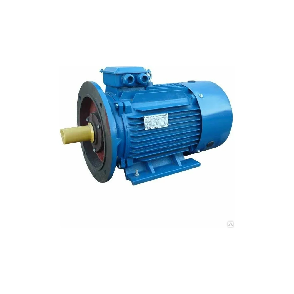 Электродвигатель 5АИ 180 S4 22/1500 IM 2001 01.01.213696