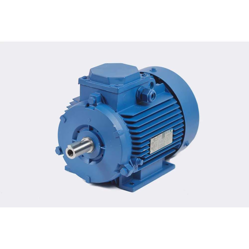 Электродвигатель МЭЗ У2-220/380-50IM1081-Р.К.В. К31Е-ААА IE1 Могилев АИР100L8 1081