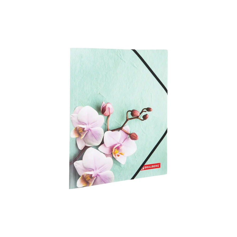 Папка BRAUBERG FLOWER 228032