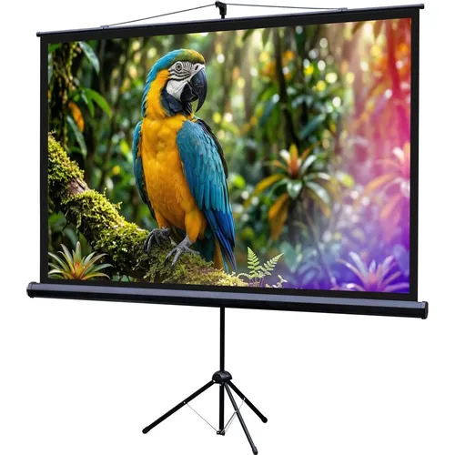 Экран Lumien Eco Picture LEV-100113, 110х192 см, 16:9, напольный черный