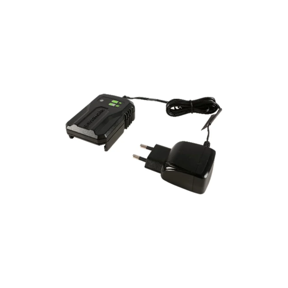 Зарядное устройство GreenWorks G24UC2 2946207
