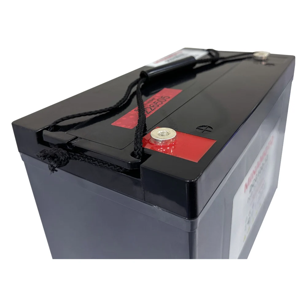 Тяговый моноблок MINAMOTO DCG100-12 596000