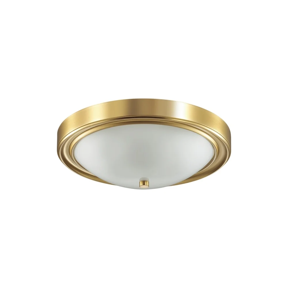 Настенно-потолочный светильник Lumion NINA 5259/3C