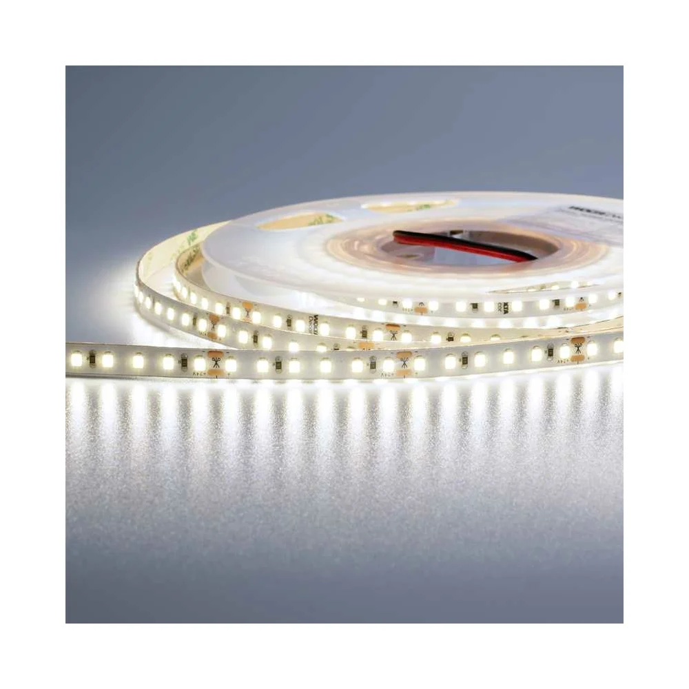 Светодиодная лента Wolta Decor WLS2835-12W/6500/24S120-01