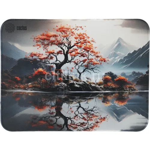 Cactus Lake рисунок, ткань, 400х300х3мм [cs-mp-pro18xl]