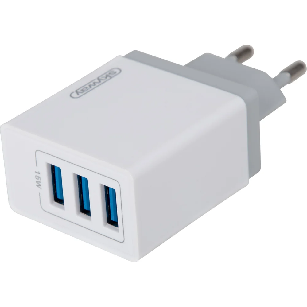 Сетевое зарядное устройство SKYWAY S04602005