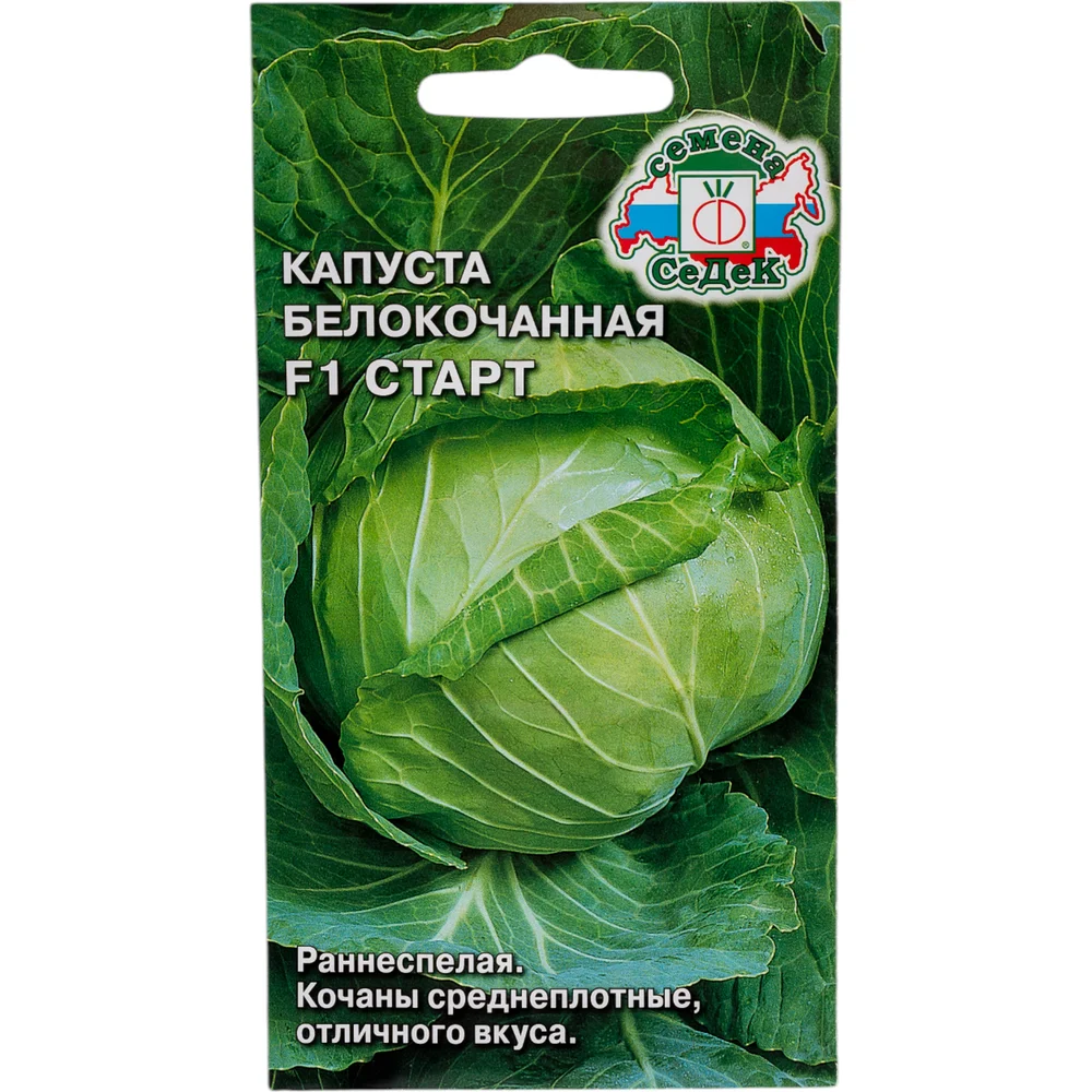 Семена СеДек I0000002355