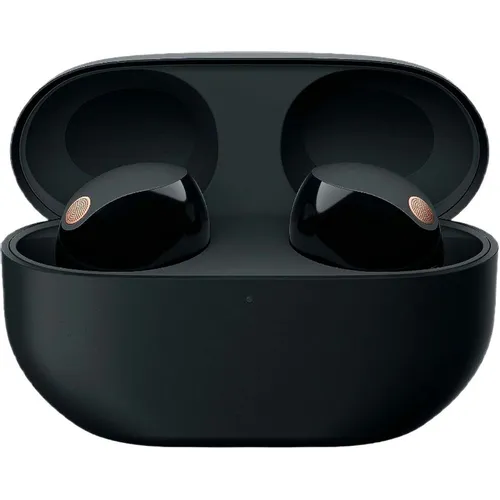 Наушники Sony WF-1000XM5, Bluetooth, внутриканальные, черный [wf-1000xm5/bc]