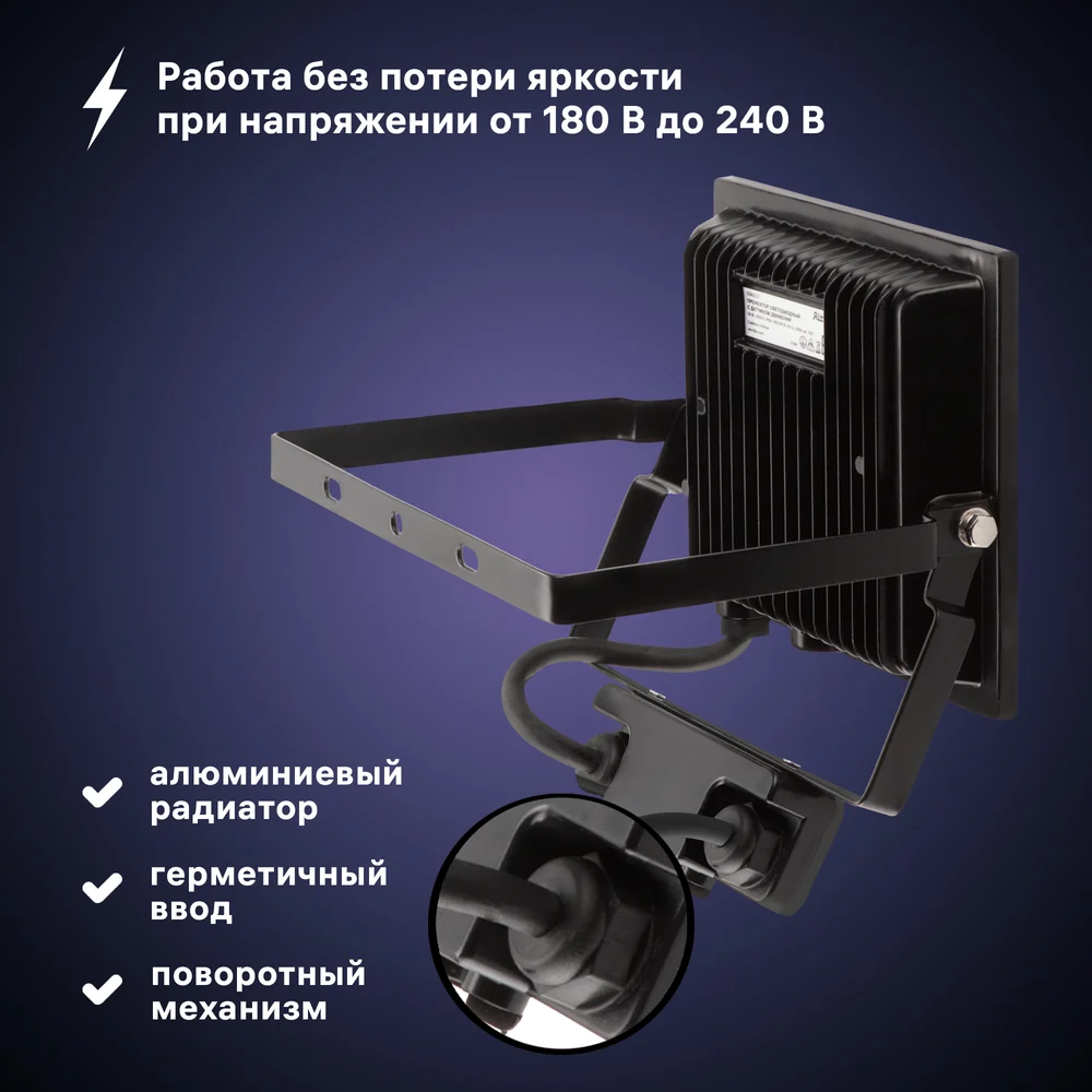 Светодиодный прожектор RITTER PROFI 53422 2