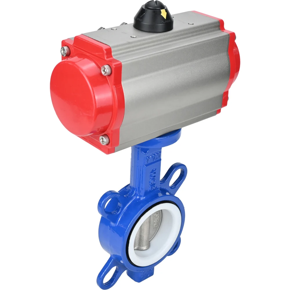 Дисковый затвор DN.ru wcb-316l-ptfe D050-02385