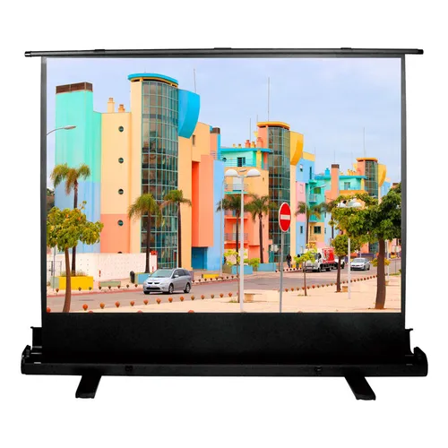 Экран Cactus FloorExpert CS-PSFLE-160X120, 160х120 см, 4:3, напольный