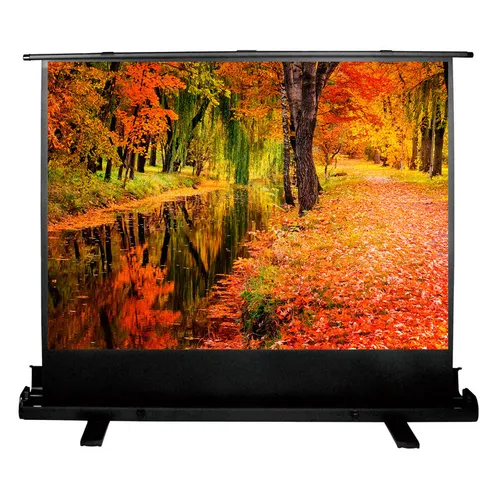 Экран Cactus FloorExpert CS-PSFLE-200X150, 200х150 см, 4:3, напольный