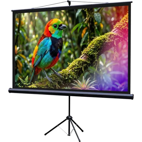 Экран Lumien Eco Picture LEV-100114, 115х200 см, 16:9, напольный черный