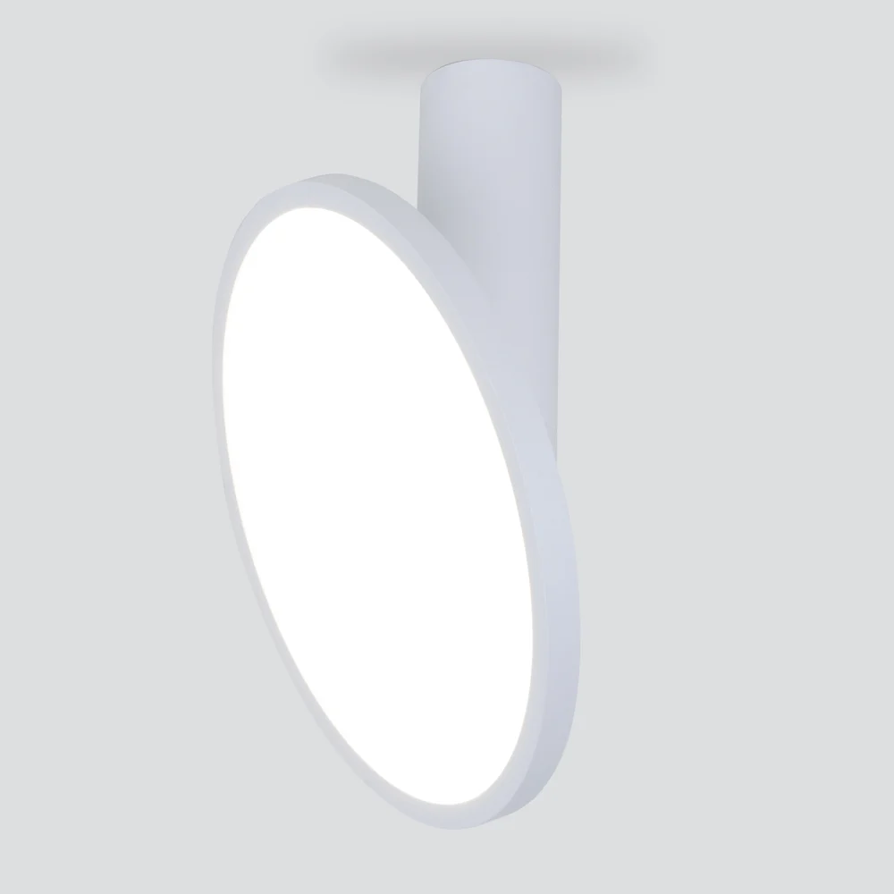 Накладной светильник Elektrostandard DLS029 a047771