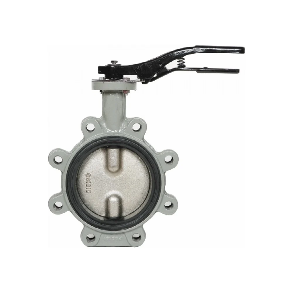 Дисковый поворотный затвор Giacomini R59FLX010