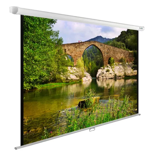 Экран Cactus WallExpert CS-PSWE-220x165-WT, 220х165 см, 4:3, настенно-потолочный белый