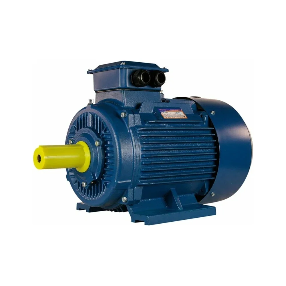 Электродвигатель 5АИ 180 S4 22/1500 IM 1001 01.01.213695