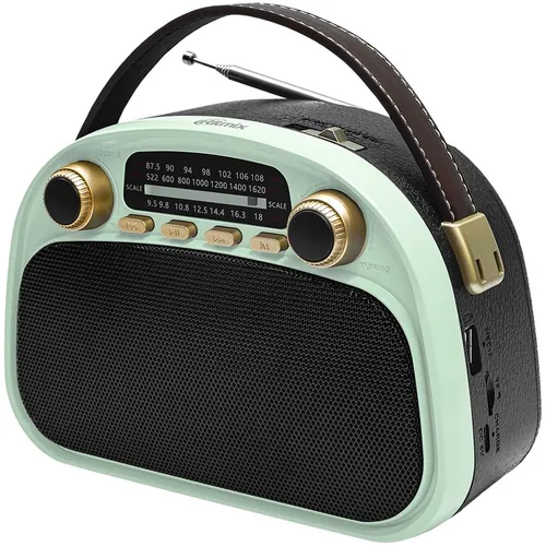 Радиоприемник Ritmix RPR-040, голубой