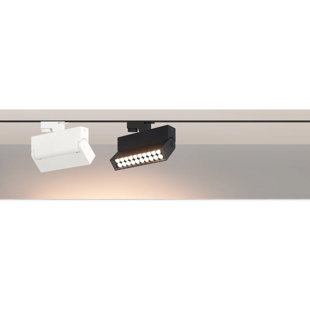 Светильник Arlight LGD-LOFT-TRACK-2TR-S170-10W Day4000 36470