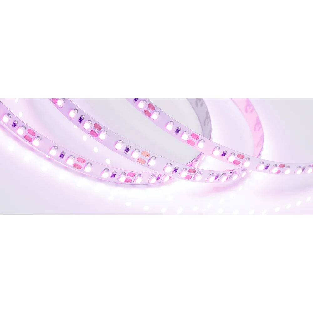 Светодиодная лента Arlight RT-A120-8mm 12V Pink 015897(2)