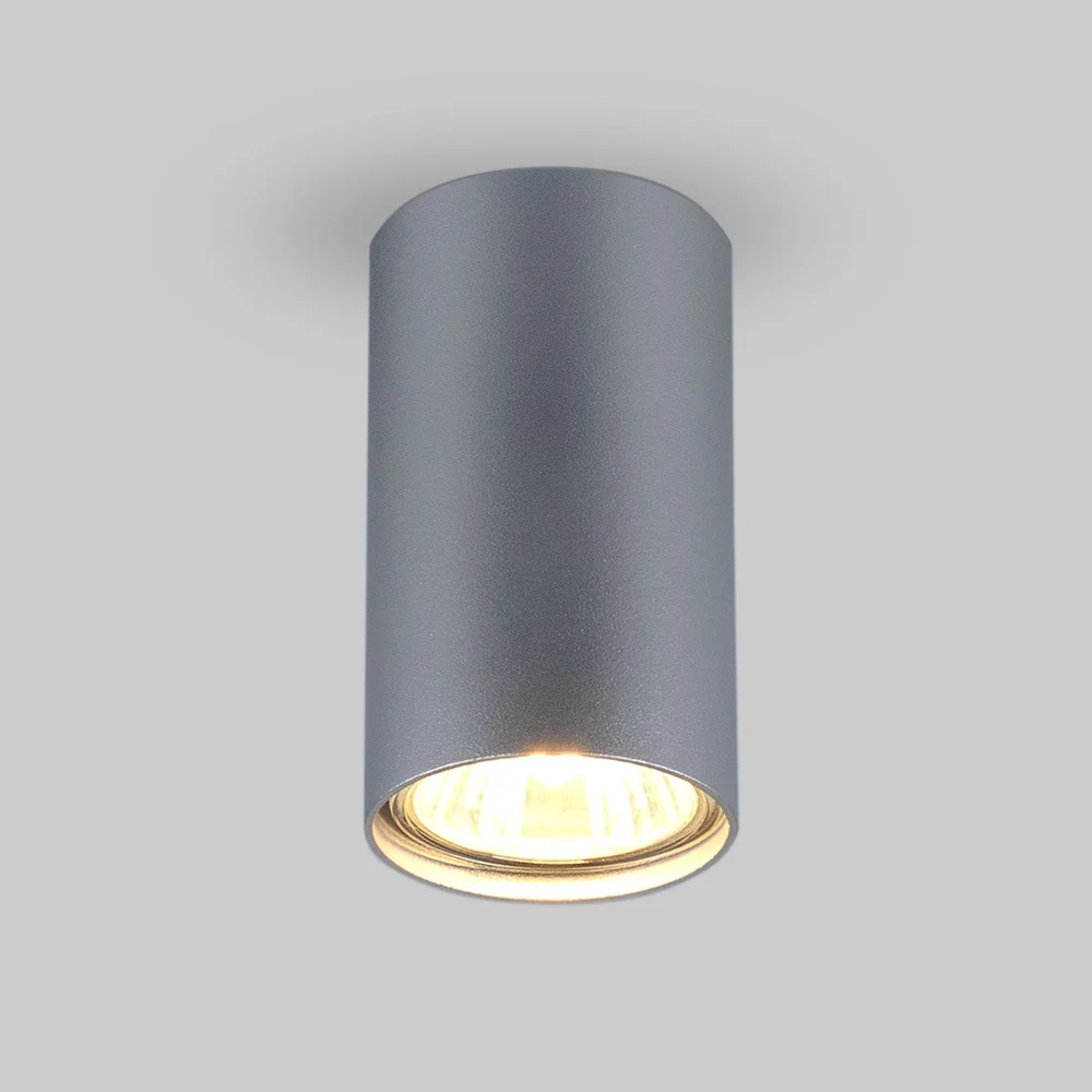 Накладной светильник Elektrostandard 1081 a037714