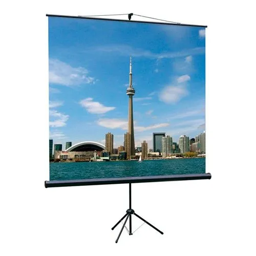Экран Lumien Eco View LEV-100103, 200х200 см, 1:1, напольный