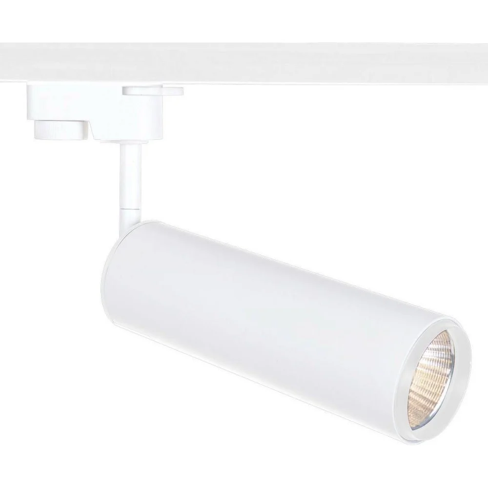 Потолочный светильник ARTE LAMP A1412PL-1WH