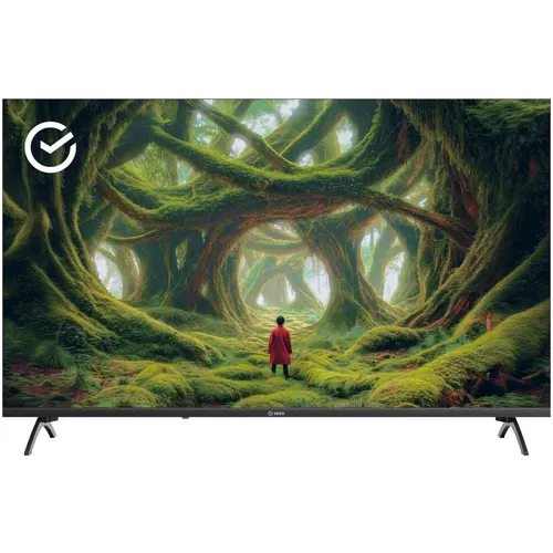 43" Телевизор SBER SDX-43F3000DBA FULL HD, СМАРТ ТВ, Салют ТВ, черный