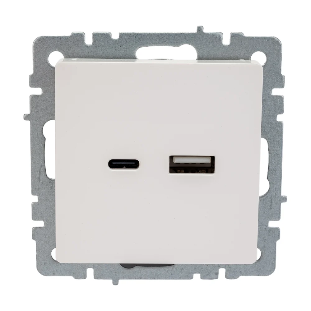 Розетка usb IEK Brite BR-U22-018-K01
